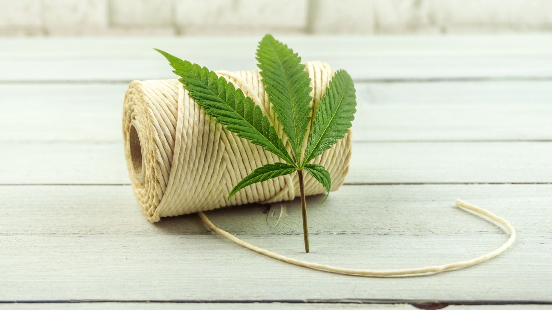 Ecodesign: cos'è, materiali ecosostenibili e oggetti di design in vetro riciclato